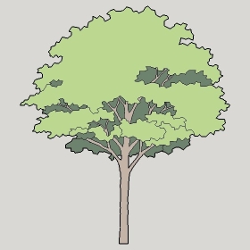 ͼʦģֲģȫ20222371