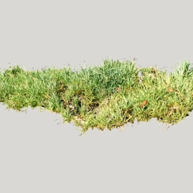 ͼʦģֲģȫ20221766