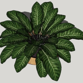 ͼʦSketchupƷģ20221125ϴ093