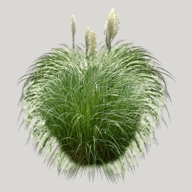 ͼʦģֲģȫ20222068