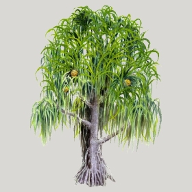 ͼʦģֲģȫ20222576