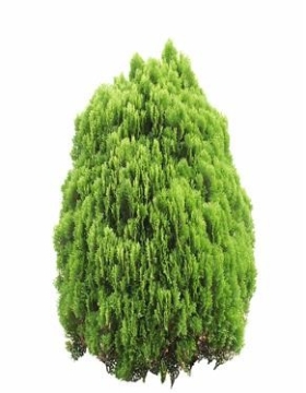 720úTF03