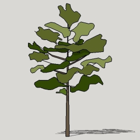 ͼʦģֲTTrees2Dֱģ055