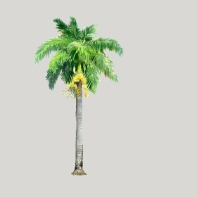 ͼʦģֲģȫ20222275