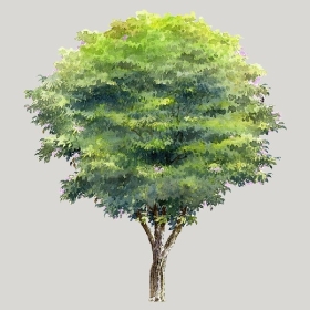 ͼʦģֲģȫ20222559