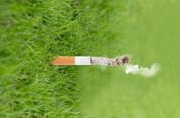 ����PSD�ֲ�ģ��ID-0009