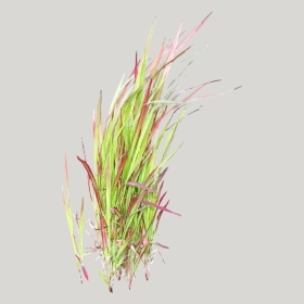 ͼʦģֲģȫ20221730