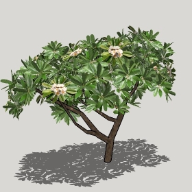 ͼʦģֲģȫ20221268