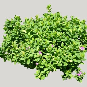 ͼʦģֲģȫ20221358