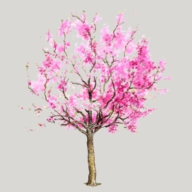 ͼʦģֲģȫ20222632