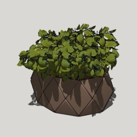 ����ֲ��_Sketchup��ͼ��ʦģ��Enscape����22020426539