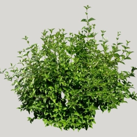 ͼʦģֲģȫ20221613