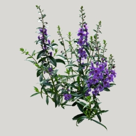 ͼʦģֲģȫ20221004