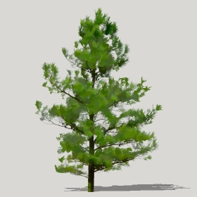 ͼʦģֲģȫ20221225