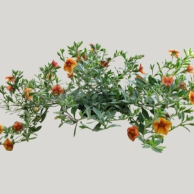 ͼʦģֲģȫ20221932