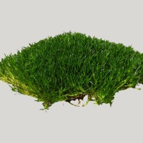 ͼʦģֲģȫ20221704