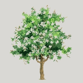 ͼʦģֲģȫ20222531