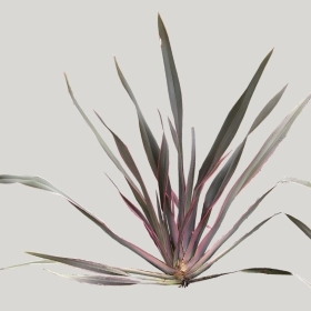 ͼʦģֲģȫ20221996