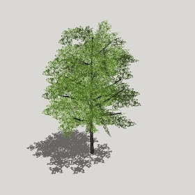 ͼʦģֲģȫ20221265