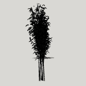 _Enscapeʲͼʦģ202204204971