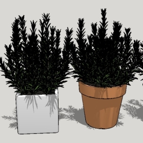 ͼʦSketchupƷģ20221125ϴ084