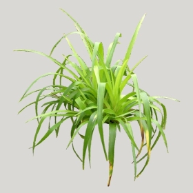 ͼʦģֲģȫ20221540