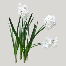 ͼʦģֲģȫ20222087