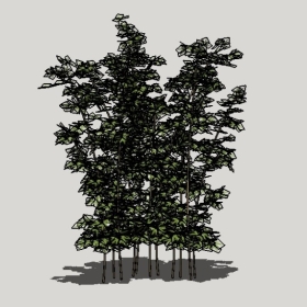 _Enscapeʲͼʦģ202204204992