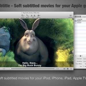 iSubtitle 2.9.1.1 Mac 电影字幕制作软件