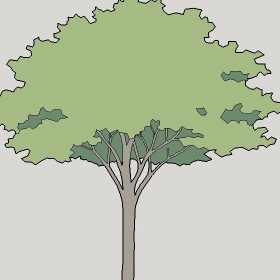 ͼʦģֲģȫ20222377