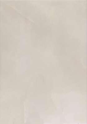 ʯɲǽשǽש 316X450Ʈ45788  316X450MM