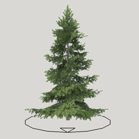 ͼʦģֲģȫ20222160