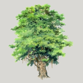 ͼʦģֲģȫ20222644