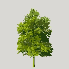 ͼʦģֲģȫ20222013