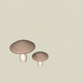 Sketchupģ͵1125Ģ611