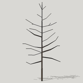 ͼʦģֲTTrees2Dֱģ081