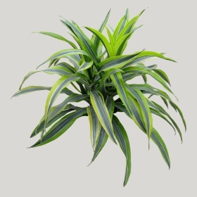 ͼʦģֲģȫ20221089