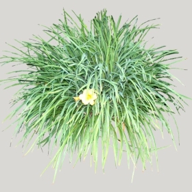 ͼʦģֲģȫ20221028