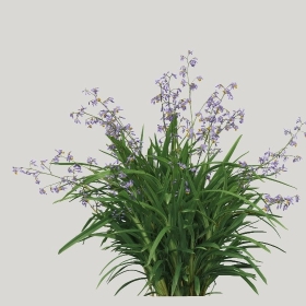 ͼʦģֲģȫ20221849