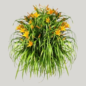 ͼʦģֲģȫ20221018