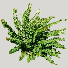 ͼʦģֲģȫ20221610