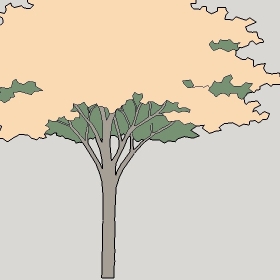 ͼʦģֲģȫ20222376