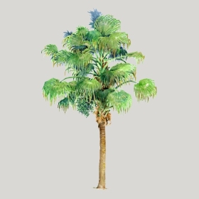 ͼʦģֲģȫ20221853