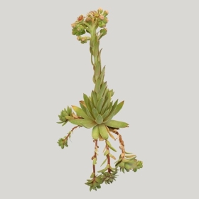 ͼʦģֲģȫ20221591