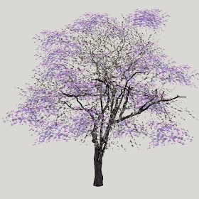 ͼʦģֲģȫ20221721