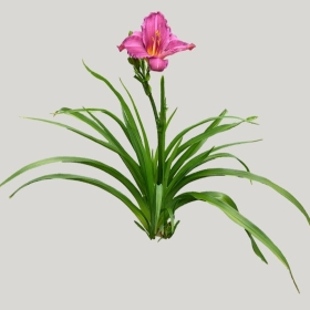 ͼʦģֲģȫ20221021