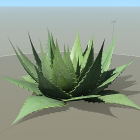 SpeedTree ST02 - aloe vera  «