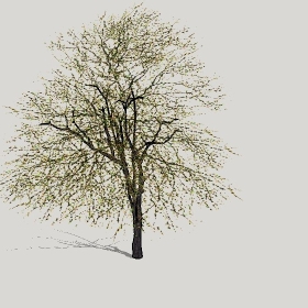 ͼʦģֲģȫ20222343