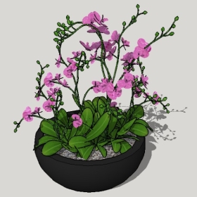 ͼʦSketchupƷģ20221125ϴ086