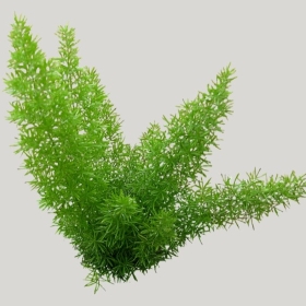 ͼʦģֲģȫ20221954